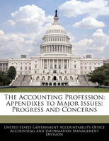 The Accounting Profession