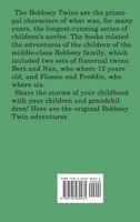 The Bobbsey Twins In Washington