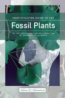 Identification Guide to the Fossil Plants of the Horseshoe Canyon Formation of Drumheller, Alberta (New)