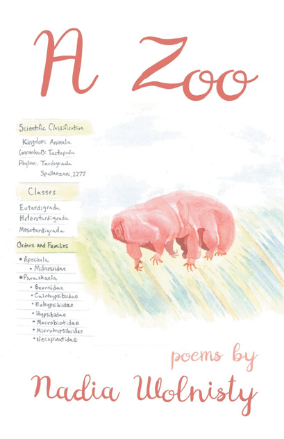 A Zoo A Zoo