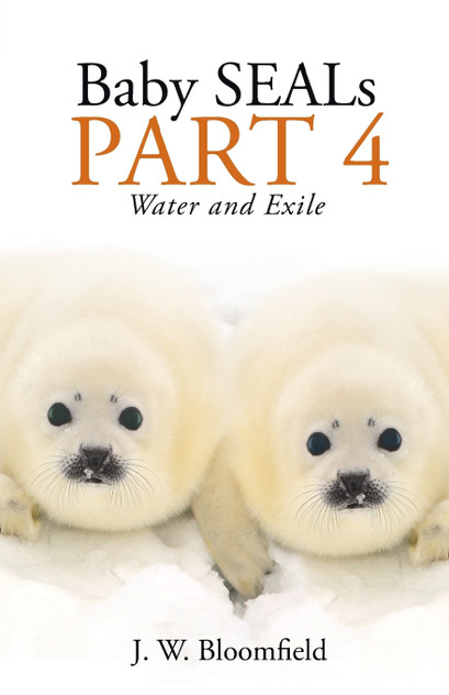 Baby Seals Part 4 Baby Seals Part 4