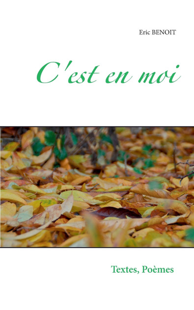 C'est en moi C'est en moi