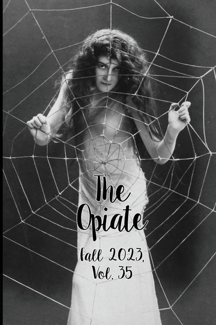 The Opiate The Opiate