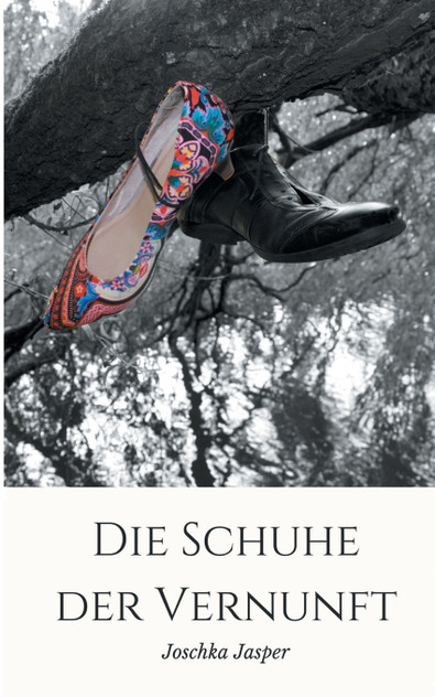 Die Schuhe der Vernunft Die Schuhe der Vernunft