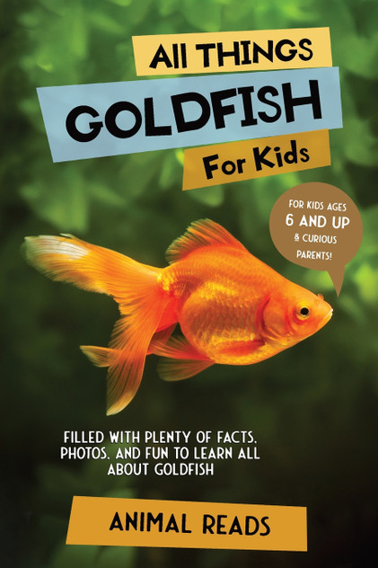 All Things Goldfish For Kids All Things Goldfish For Kids