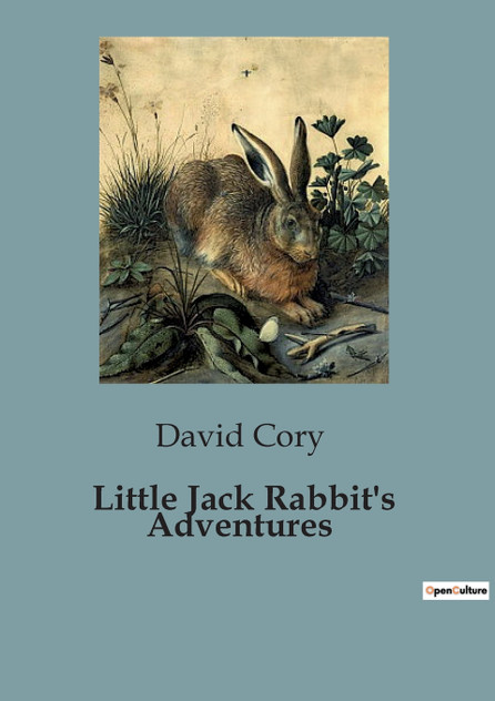 Little Jack Rabbit's Adventures Little Jack Rabbit's Adventures