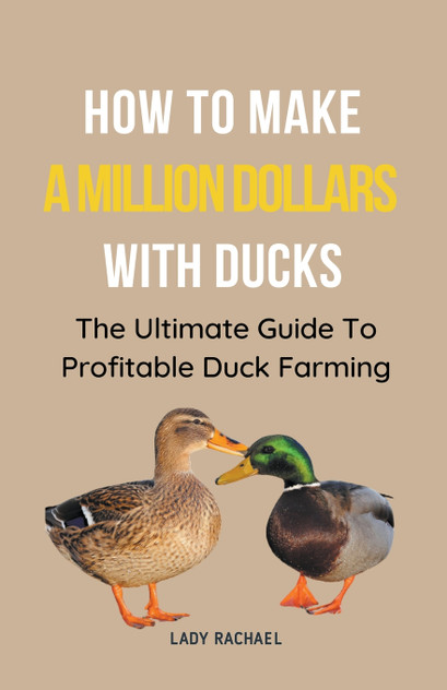 How To Make A Million Dollars With Ducks How To Make A Million Dollars With Ducks