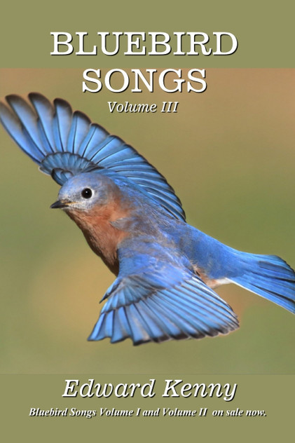 Bluebird Songs (Volume III) Bluebird Songs (Volume III)