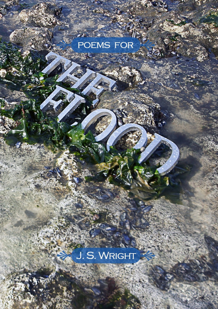 Poems for the Flood (Volume III) Poems for the Flood (Volume III)