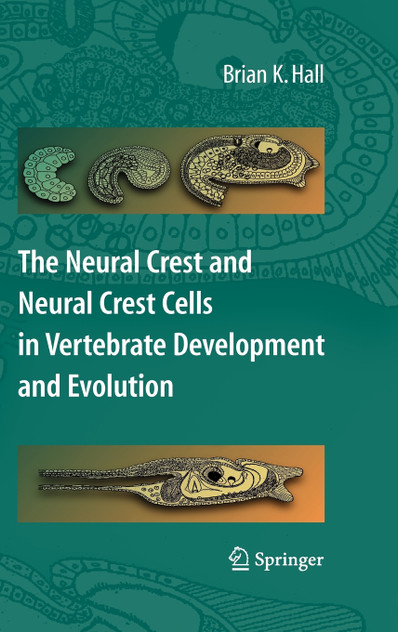 The Neural Crest and Neural Crest Cells in Vertebrate Development and Evolution The Neural Crest and Neural Crest Cells in Vertebrate Development and Evolution