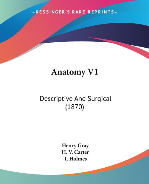 Anatomy V1 Anatomy V1