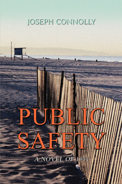 Public Safety Public Safety