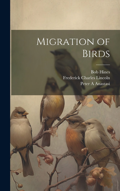 Migration of Birds Migration of Birds