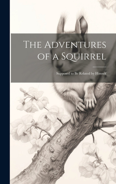 The Adventures of a Squirrel The Adventures of a Squirrel