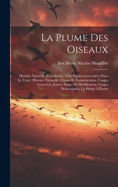 La plume des oiseaux La plume des oiseaux
