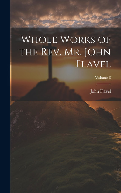 Whole Works of the Rev. Mr. John Flavel; Volume 6
