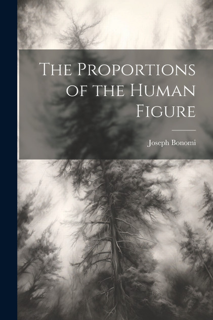 The Proportions of the Human Figure The Proportions of the Human Figure