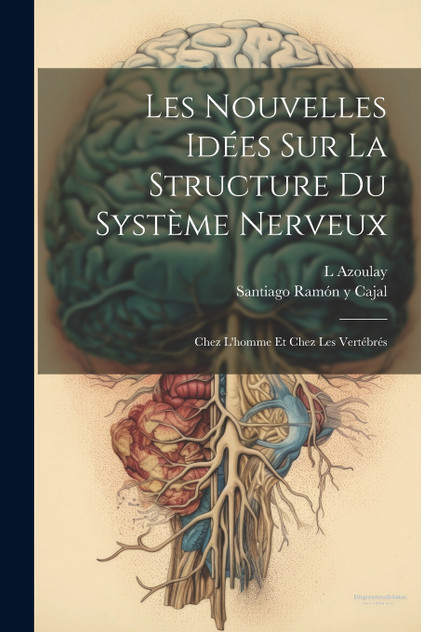 Les Nouvelles Idées Sur La Structure Du Système Nerveux Les Nouvelles Idées Sur La Structure Du Système Nerveux