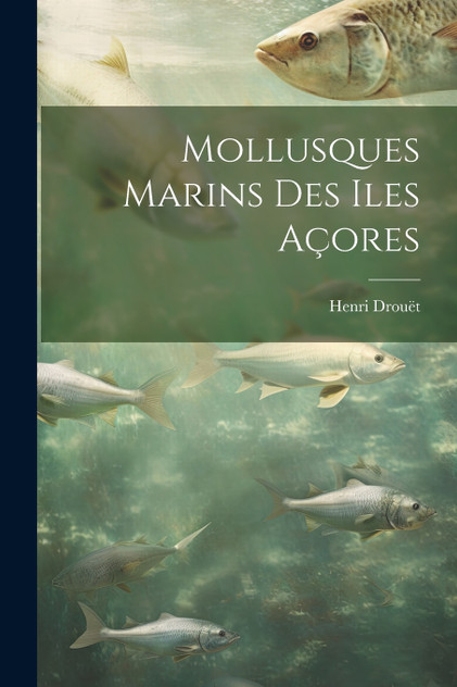 Mollusques marins des Iles Açores Mollusques marins des Iles Açores