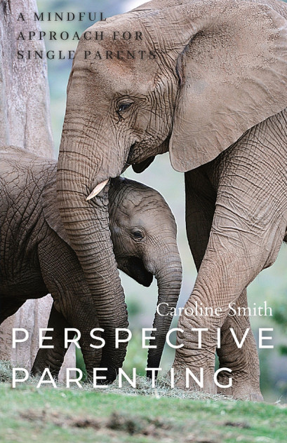 Perspective Parenting Perspective Parenting