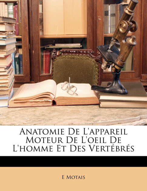 Anatomie De L'appareil Moteur De L'oeil De L'homme Et Des Vertébrés Anatomie De L'appareil Moteur De L'oeil De L'homme Et Des Vertébrés