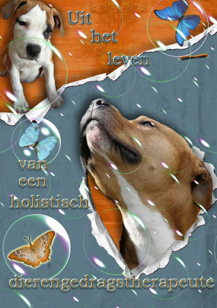 Uit het leven van een holistisch dierengedragstherapeute Uit het leven van een holistisch dierengedragstherapeute