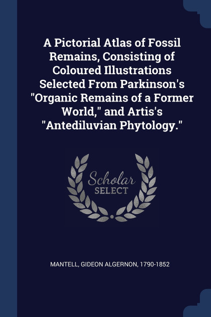 A Pictorial Atlas of Fossil Remains, Consisting of Coloured Illustrations Selected From Parkinson's "Organic Remains of a Former World," and Artis's "Antediluvian Phytology." A Pictorial Atlas of Fossil Remains, Consisting of Coloured Illustrations Selected From Parkinson's "Organic Remains of a Former World," and Artis's "Antediluvian Phytology."
