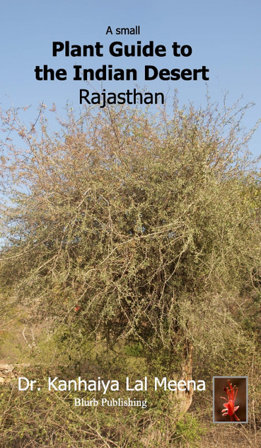 A Small Plant Guide to the Desert  Rajasthan