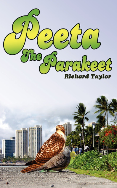Peeta The Parakeet Peeta The Parakeet