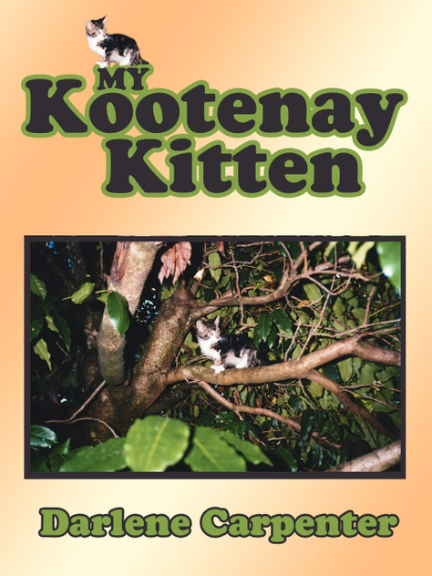 My Kootenay Kitten My Kootenay Kitten