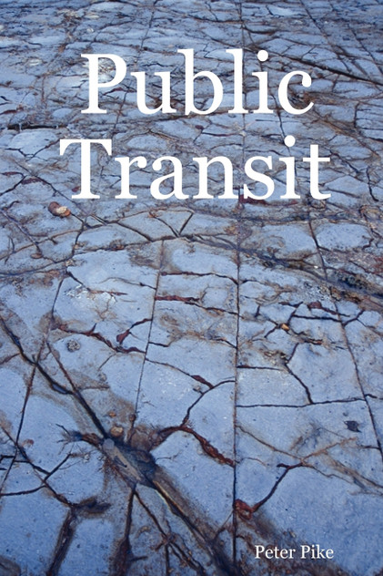 Public Transit