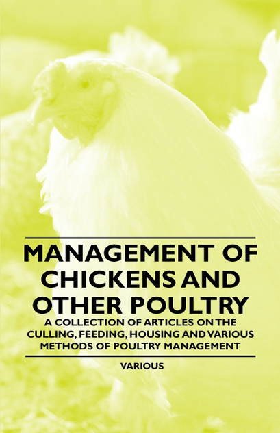 Management of Chickens and Other Poultry - A Collection of Articles on the Culling, Feeding, Housing and Various Methods of Poultry Management Management of Chickens and Other Poultry - A Collection of Articles on the Culling, Feeding, Housing and Various Methods of Poultry Management