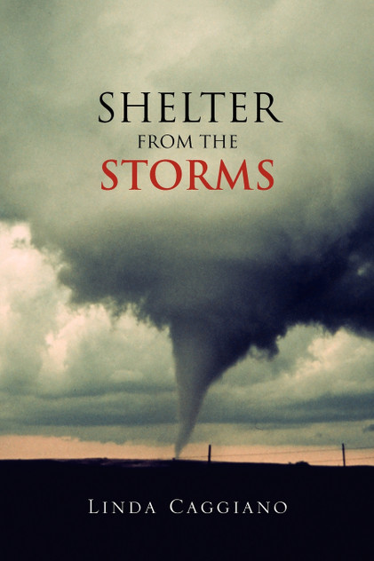 Shelter from the Storms Shelter from the Storms