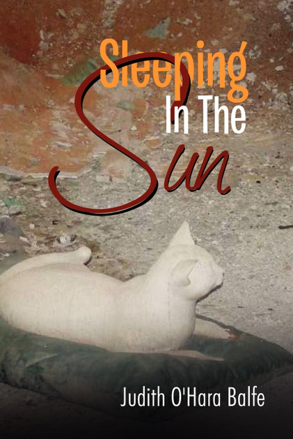 Sleeping in the Sun Sleeping in the Sun