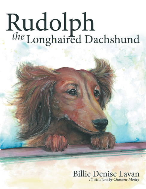 Rudolph the Longhaired Dachshund