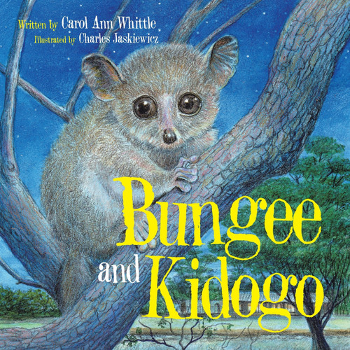 Bungee and Kidogo Bungee and Kidogo