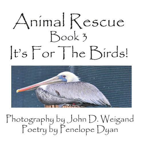 Animal Rescue, Book 3, It's for the Birds! Animal Rescue, Book 3, It's for the Birds!