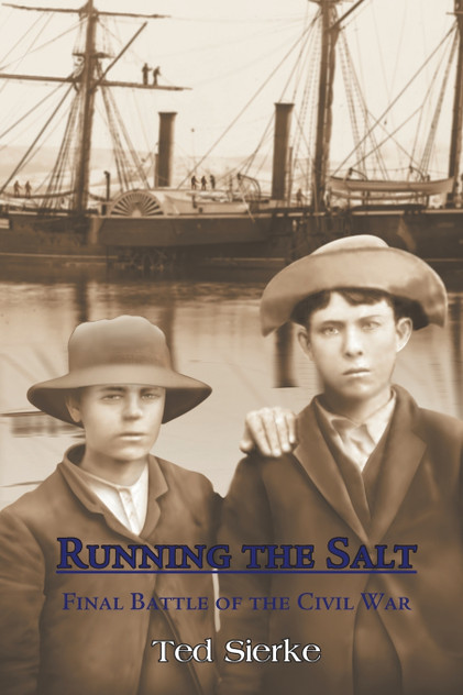 Running the Salt