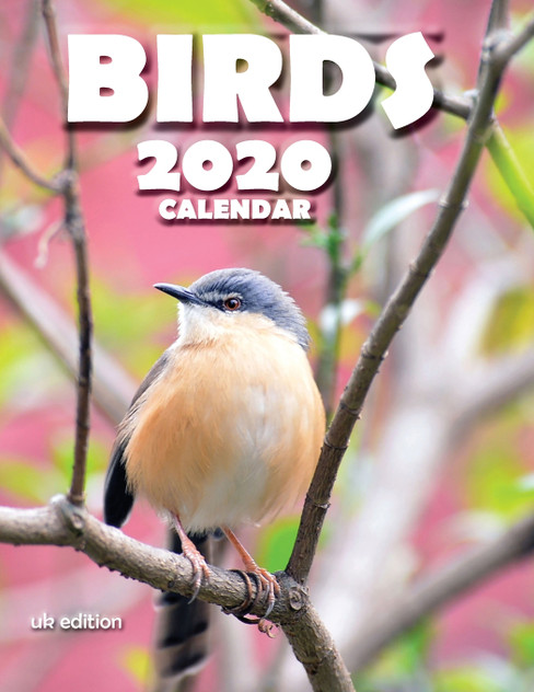 Birds 2020 Calendar (UK Edition) Birds 2020 Calendar (UK Edition)