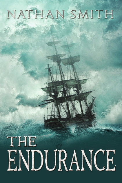 The Endurance The Endurance
