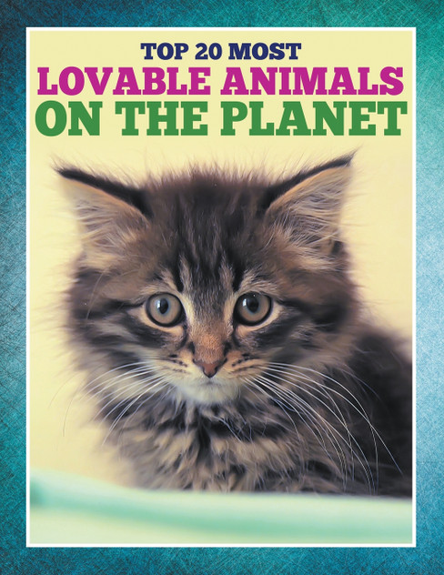Top 20 Most Lovable Animals On The Planet Top 20 Most Lovable Animals On The Planet