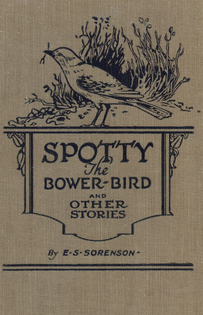 Spotty the Bower Bird Spotty the Bower Bird