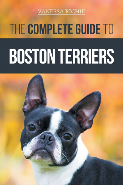 The Complete Guide to Boston Terriers The Complete Guide to Boston Terriers
