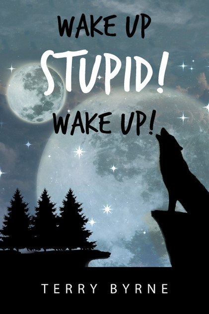 Wake up Stupid! Wake Up! Wake up Stupid! Wake Up!