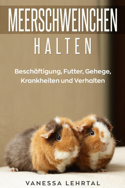 Meerschweinchen halten Meerschweinchen halten