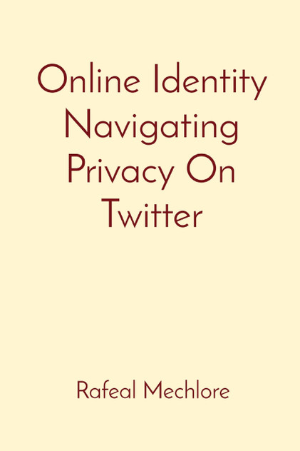 Online Identity Navigating Privacy On Twitter