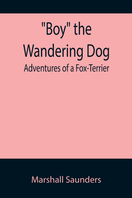 Boy the Wandering Dog Boy the Wandering Dog