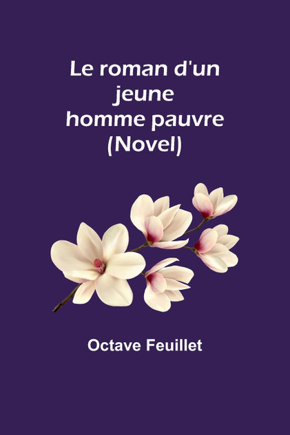 Le roman d'un jeune homme pauvre (Novel) Le roman d'un jeune homme pauvre (Novel)