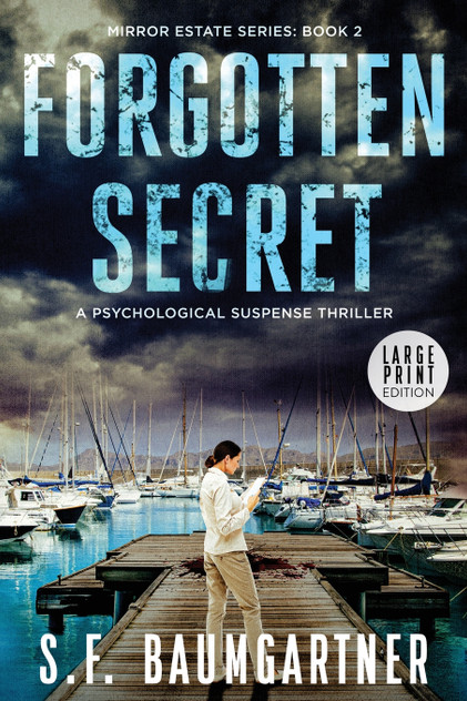 Forgotten Secret (Large Print) Forgotten Secret (Large Print)