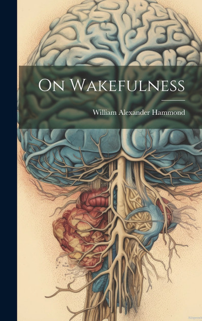 On Wakefulness On Wakefulness